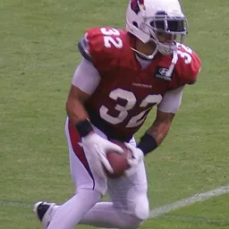 Portrait of Tyrann Mathieu