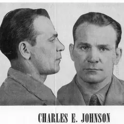 Portrait of Charles E. Johnson