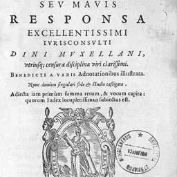 Portrait of Dinus de Rossonis