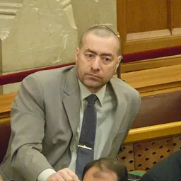 Portrait of Péter Kónya