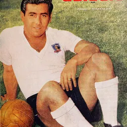 Portrait of Enrique Hormazábal