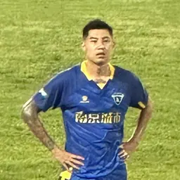 Portrait of Wang Sihan