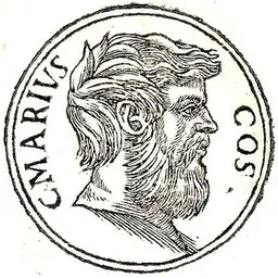 Portrait of Gaius Marius the Younger