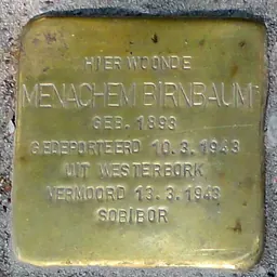 Portrait of Menachem Birnbaum