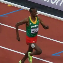 Portrait of Aman Wote