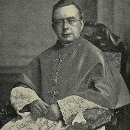 Portrait of William Joseph Walsh