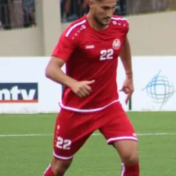 Portrait of Karim Darwich