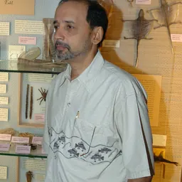 Portrait of Rohan Pethiyagoda