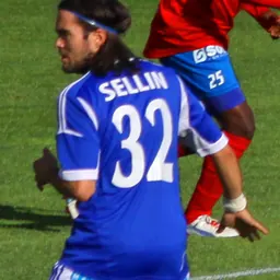 Portrait of Robbin Sellin
