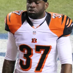 Portrait of Chris Lewis-Harris