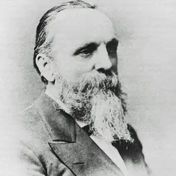 Portrait of Henry H. Wells
