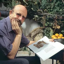 Portrait of Emanuel Tov