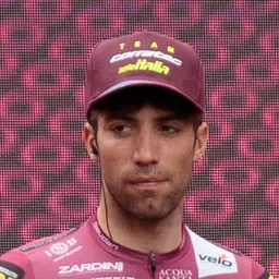 Portrait of Nicolas Dalla Valle