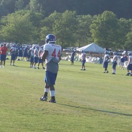 Portrait of Ahmad Bradshaw