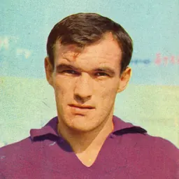 Portrait of Bernardo Rogora
