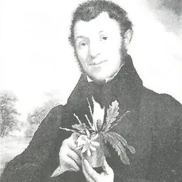 Portrait of Adrian Hardy Haworth