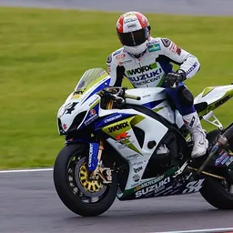Portrait of Michael Rutter