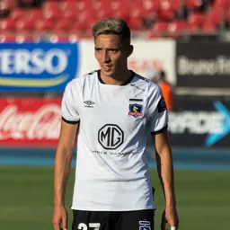 Portrait of Branco Provoste