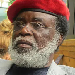 Portrait of Dele Jegede