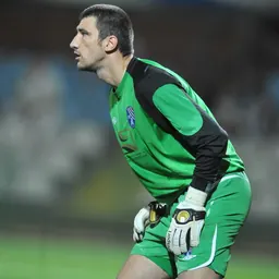 Portrait of Damir Kahriman