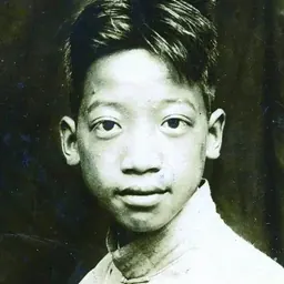 Portrait of Shen Shanjiong