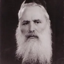 Portrait of Eliezer Poupko