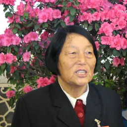 Portrait of Shen Jilan