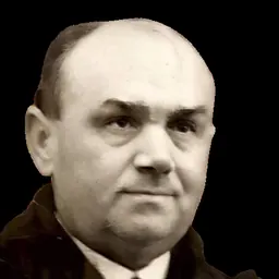 Portrait of Veli Vasjari
