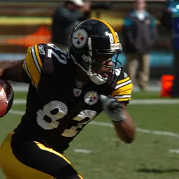 Portrait of Antwaan Randle El
