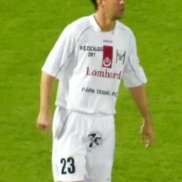 Portrait of Attila Farkas