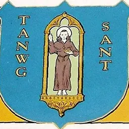 Portrait of Tanwg