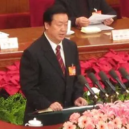 Portrait of Wang Shengjun