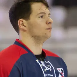 Portrait of Mislav Rosandič