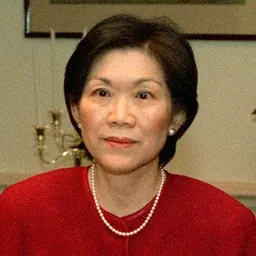 Portrait of Chan Heng Chee
