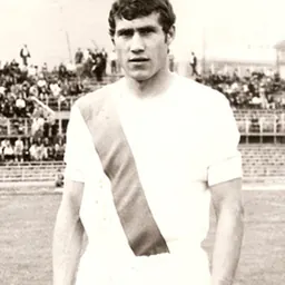 Portrait of Mauro Nardoni