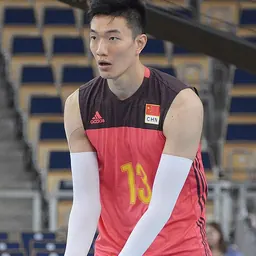 Portrait of Chen Longhai