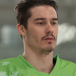 Portrait of Žiga Pavlin
