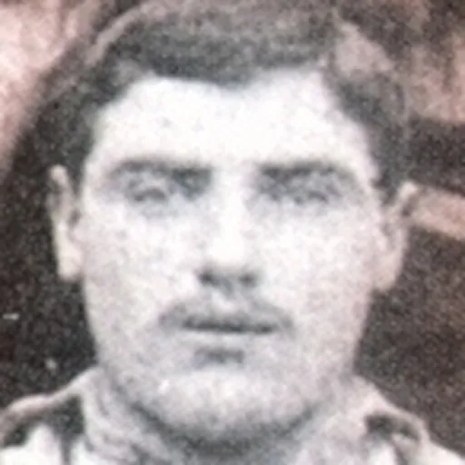 Portrait of Harry Bradshaw