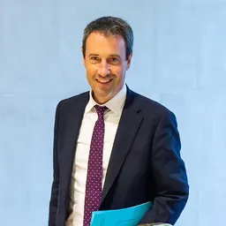 Portrait of Philippe Goffin