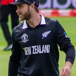 Portrait of Kane Williamson