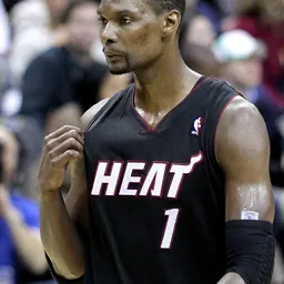 Portrait of Chris Bosh
