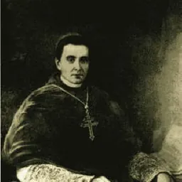 Portrait of Manuel Bento Rodrigues da Silva