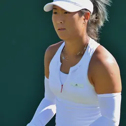 Portrait of Han Xinyun
