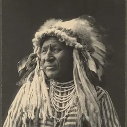 Portrait of White Swan