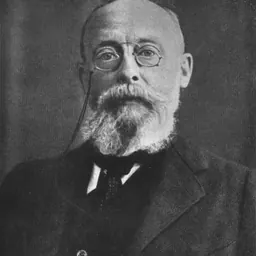 Portrait of Franz von Liszt
