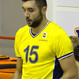 Portrait of Metin Toy