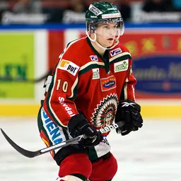 Portrait of Fredrik Pettersson