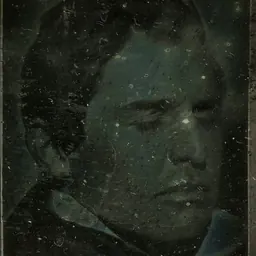 Portrait of Henry Fitz