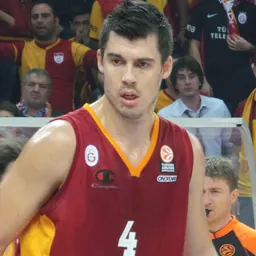 Portrait of Zoran Erceg