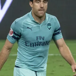 Portrait of Sokratis Papastathopoulos